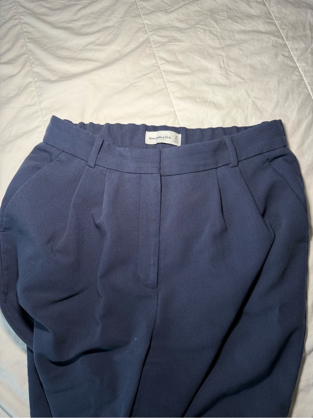 Abercrombie & Fitch Navy Pleated Trousers